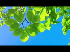 Come i padri, Farrleey protegge con affidabilità l'aria pura per la famiglia e il pianeta.